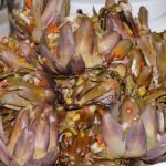 09b284afd62e4938ab2c84c36b7b21f7